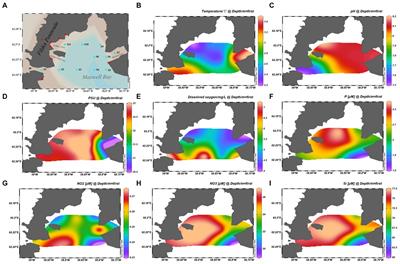 New insights into the structure and function of microbial communities in Maxwell Bay, Antarctica